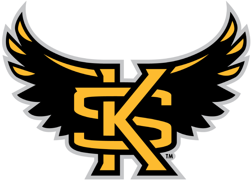 Kennesaw State Owls 2012-Pres Alternate Logo diy iron on heat transfer